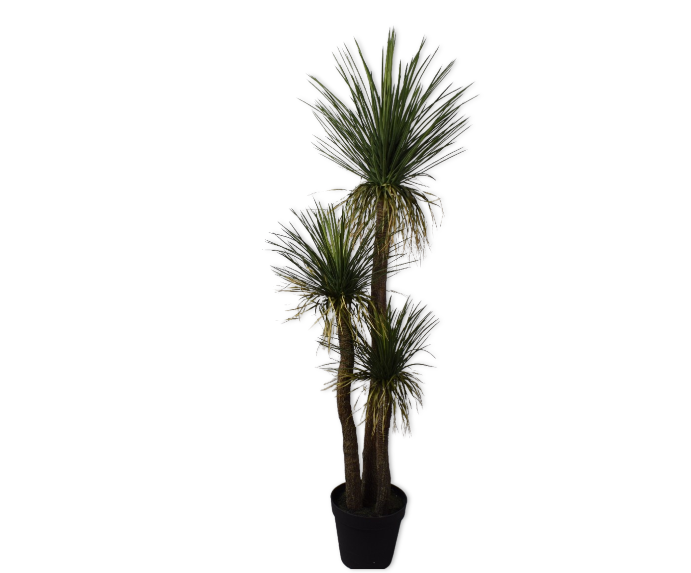 YUCCA GREEN 180 CM