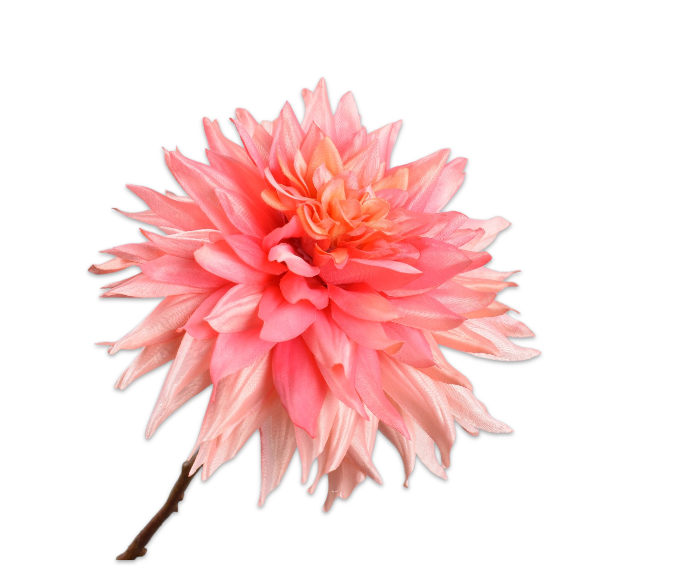 dahlia-stem-pnk-wht-65-cm