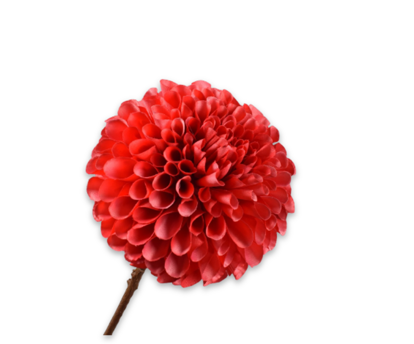 dahlia-stem-red-64-cm