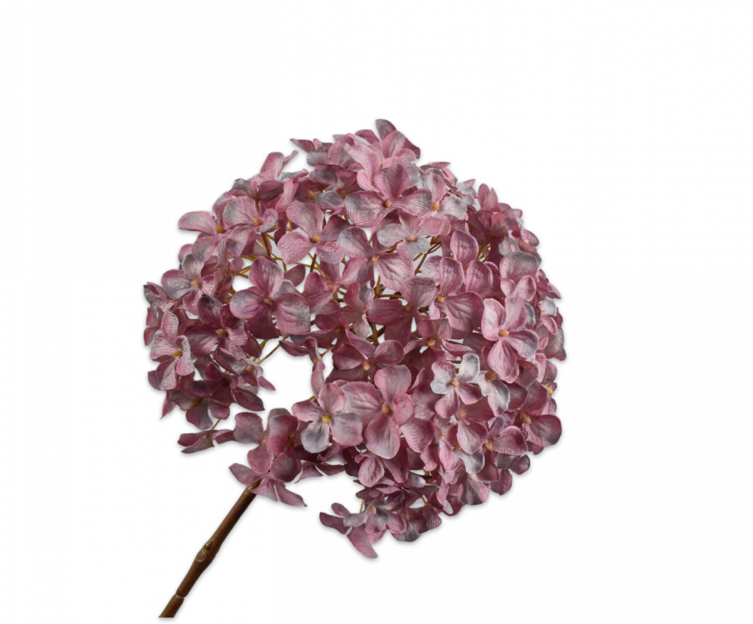 HORTENSIA PÉDONCULE MVE/VER 69 CM