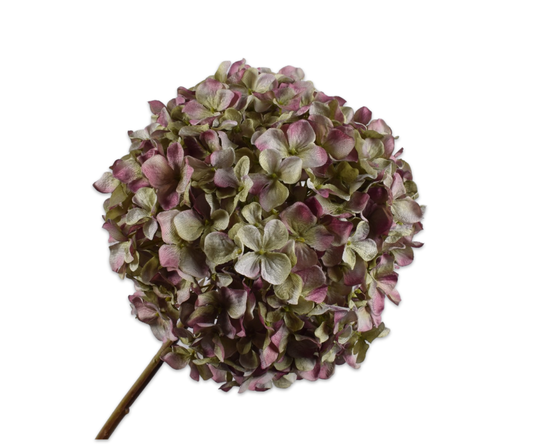 HORTENSIA PÉDONCULE BLE/VER 79 CM