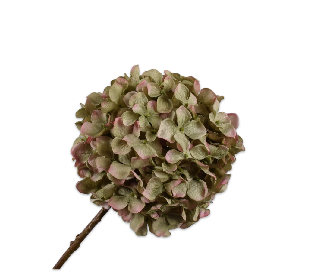 HORTENSIA PÉDONCULE VER/ROS 70 CM